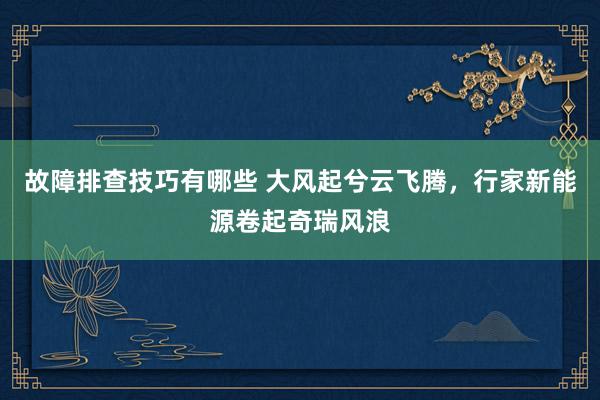 故障排查技巧有哪些 大风起兮云飞腾，行家新能源卷起奇瑞风浪