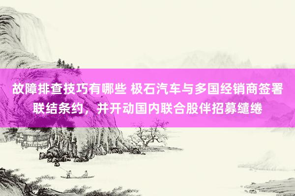 故障排查技巧有哪些 极石汽车与多国经销商签署联结条约，并开动国内联合股伴招募缱绻