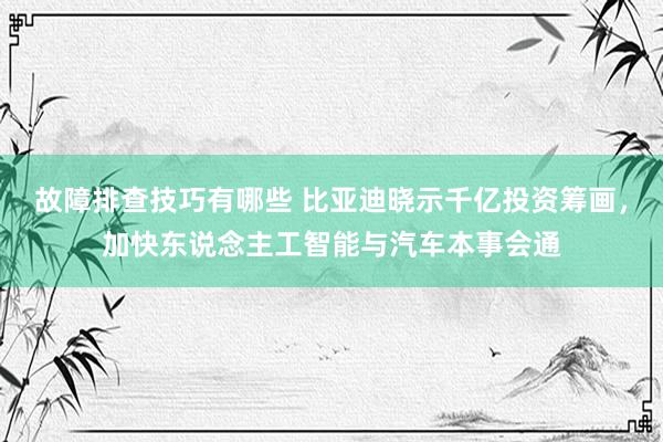 故障排查技巧有哪些 比亚迪晓示千亿投资筹画，加快东说念主工智能与汽车本事会通