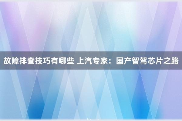 故障排查技巧有哪些 上汽专家：国产智驾芯片之路