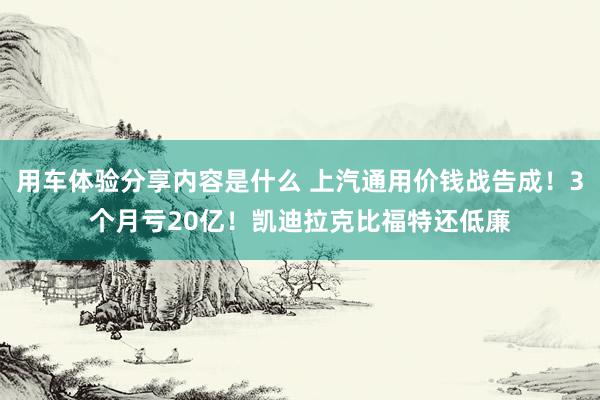 用车体验分享内容是什么 上汽通用价钱战告成！3个月亏20亿！凯迪拉克比福特还低廉