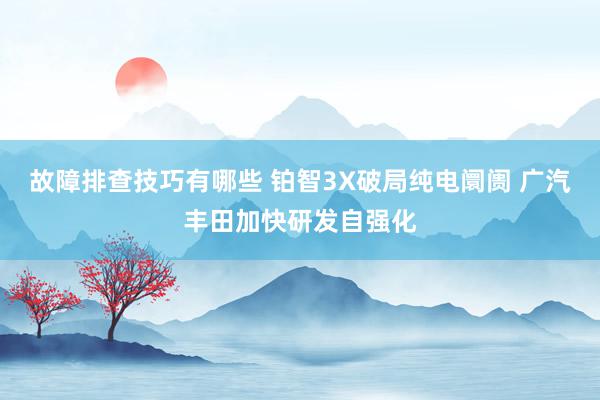 故障排查技巧有哪些 铂智3X破局纯电阛阓 广汽丰田加快研发自强化