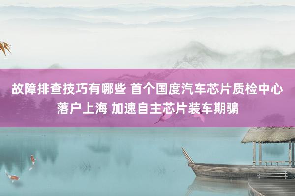 故障排查技巧有哪些 首个国度汽车芯片质检中心落户上海 加速自主芯片装车期骗