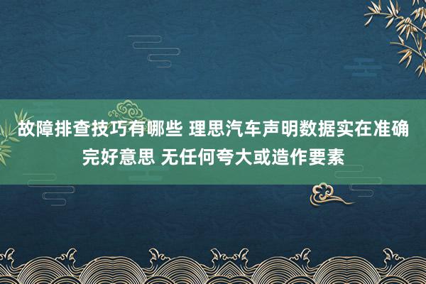 故障排查技巧有哪些 理思汽车声明数据实在准确完好意思 无任何夸大或造作要素