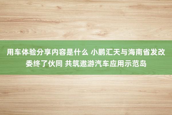 用车体验分享内容是什么 小鹏汇天与海南省发改委终了伙同 共筑遨游汽车应用示范岛