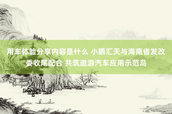 用车体验分享内容是什么 小鹏汇天与海南省发改委收尾配合 共筑遨游汽车应用示范岛