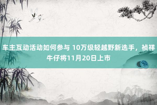 车主互动活动如何参与 10万级轻越野新选手，祯祥牛仔将11月20日上市