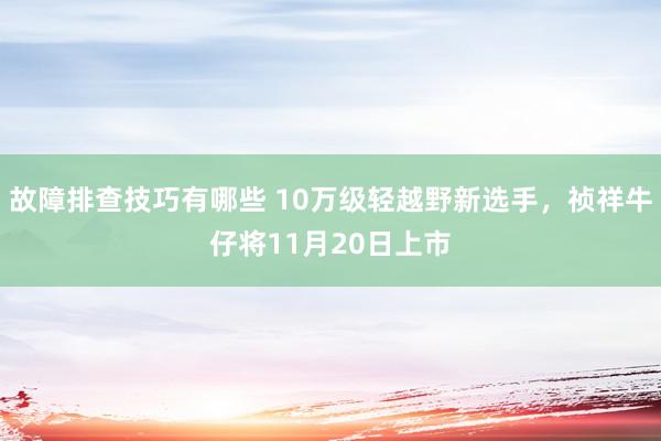 故障排查技巧有哪些 10万级轻越野新选手，祯祥牛仔将11月20日上市