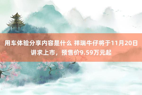 用车体验分享内容是什么 祥瑞牛仔将于11月20日讲求上市，预售价9.59万元起