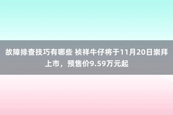 故障排查技巧有哪些 祯祥牛仔将于11月20日崇拜上市，预售价9.59万元起