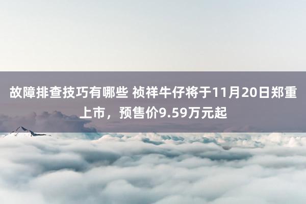 故障排查技巧有哪些 祯祥牛仔将于11月20日郑重上市，预售价9.59万元起