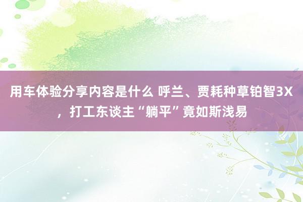 用车体验分享内容是什么 呼兰、贾耗种草铂智3X，打工东谈主“躺平”竟如斯浅易