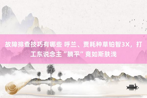 故障排查技巧有哪些 呼兰、贾耗种草铂智3X，打工东说念主“躺平”竟如斯肤浅