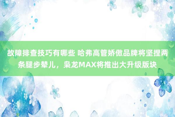 故障排查技巧有哪些 哈弗高管娇傲品牌将坚捏两条腿步辇儿，枭龙MAX将推出大升级版块